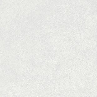 1712202594748.JPG