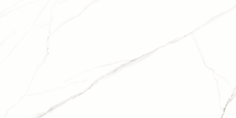 217202521140.jpg