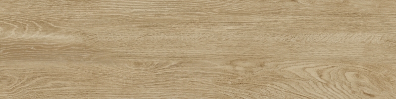 2472025164617.JPG